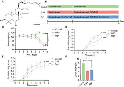 Ginsenoside Rg1 Alleviates Acute Ulcerative Colitis by Modulating Gut Microbiota and Microbial Tryptophan Metabolism